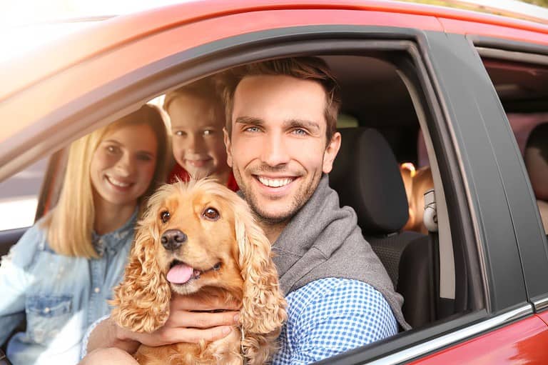 A family and their dog in a car, heading to Rochester, MN