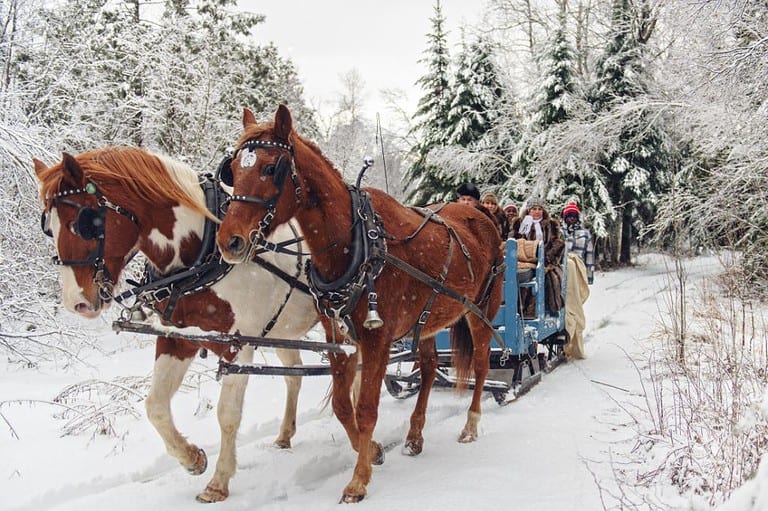 Whether your family loves the great outdoors, historical sites, sports, or interactive experiences, we've got you covered.