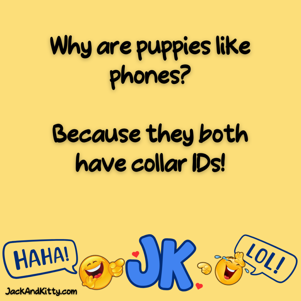 Clean, family-friendly dog jokes and pup puns that will make kids and adults laugh — the best canine humor you can share with loved ones!