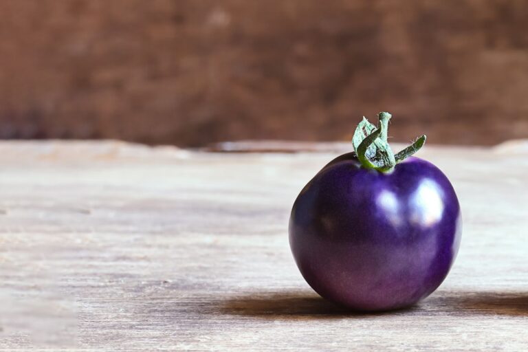 New purple tomatoes. Healthy tomato, purple in color sits on a wooden table.
