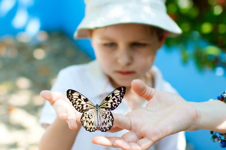 A little boy looking at a butterfly on his mother's hand at an Iowa Butterfly Garden.