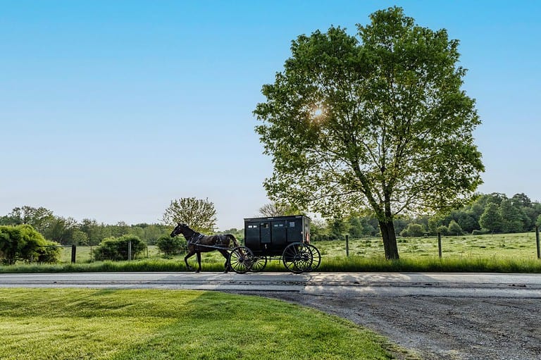 Amish horse and buggy in Harmony, MN. Explore the magic of Harmony! Discover the quaint charm of this tiny Amish town in Minnesota, where simplicity reigns and memories are made.
