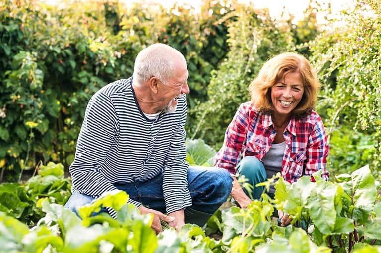 Couple laughing while gardening. Want to hear some hilarious dirt jokes? We've dug up the best ones for you! Get ready to laugh at these jokes about dirt!