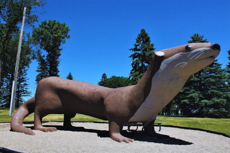 Otto the Otter in Fergus Falls, MN. You won't believe the wacky roadside attractions hiding in Minnesota! From giant animals to mysterious stones, get ready for a wild ride.