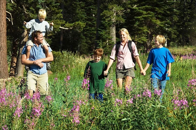 Happy family hiking in Wisconsin woods. Discover the top sustainable adventures in Wisconsin that will take you on an unforgettable journey through the state's natural wonders and eco-friendly initiatives.