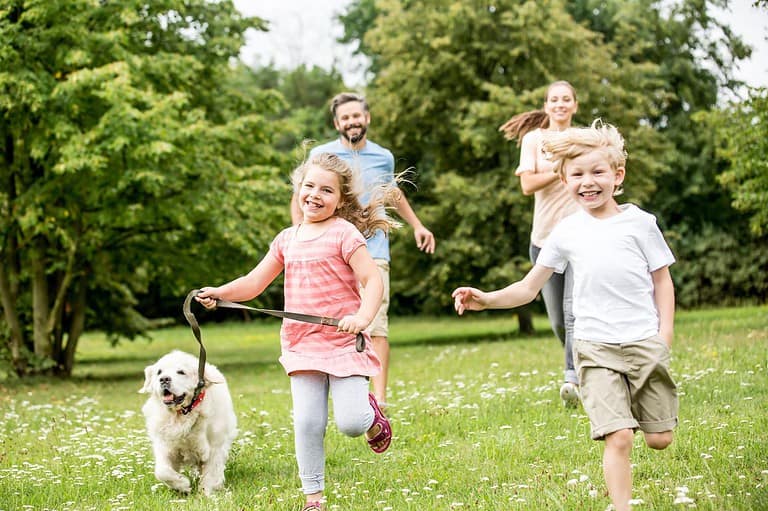 Family playing in a park in Minneapolis. Discover the best FREE (or cheap!) family activities in Minneapolis! There's something for everyone in the Twin Cities!