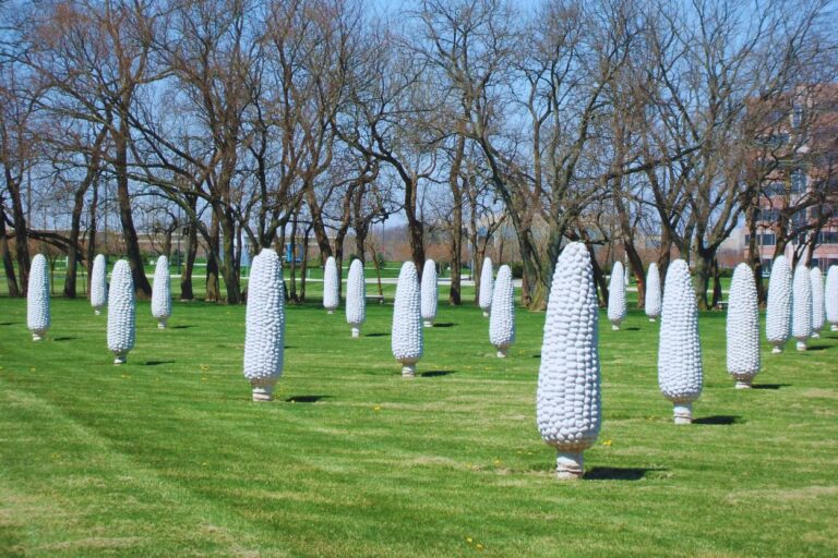 Filed of Corn in Columbus OH. You won't believe what's growing in this Ohio field! You'll be all ears for this a-MAIZE-ing art installation in Columbus!