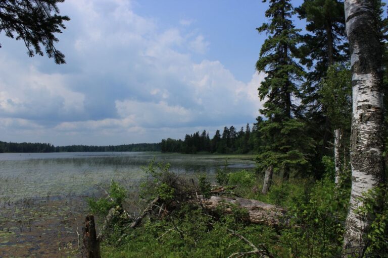 Brainerd Lakes, MN. Headed to Brainerd Lakes, Minnesota? From respecting wildlife to staying safe on the water, we've got you covered with what NOT to do!
