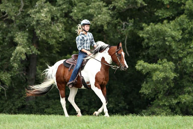 Girl riding on a horse in Winona, MN. From world-class amenities to year-round events, the Minnesota Equestrian Center in Winona, Minnesota has it all!