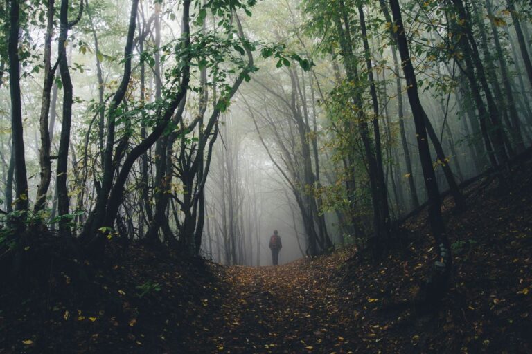 Boy Scout Lane in Stevens Point, WI. Boy Scout Lane: where urban legends come to life! Do you dare to uncover the haunting tale of this Wisconsin road?