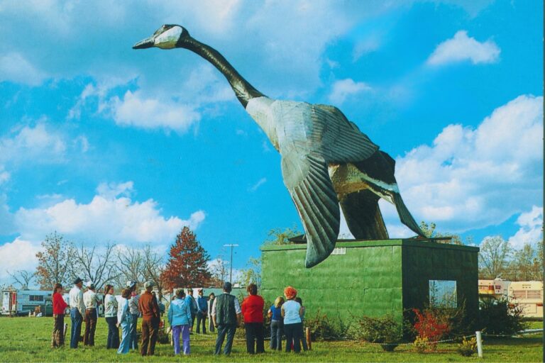 Maxie, the World's Largest Goose, has stolen Missouri's heart. Meet her in the charming town of Sumner - and have your camera ready!