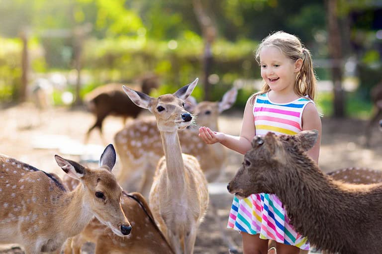 Discover a world of fun and adventure with your kids in Minnesota! From outdoor explorations to indoor attractions, you'll have a blast.