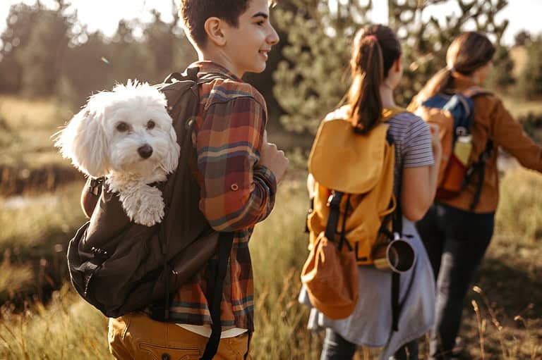 Dog with kids at Blue Mounds State Park. Step into a world where ancient wonders, majestic creatures, and vibrant prairies collide - discover the magic of Blue Mounds State Park!