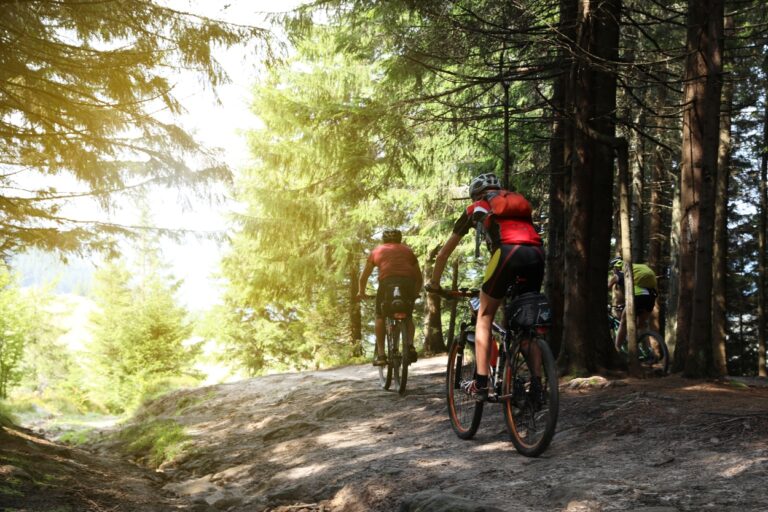 Discover the beauty of Minnesota on the Blazing Star State Trail! Uncover hidden gems and scenic spots with our helpful trail guide.
