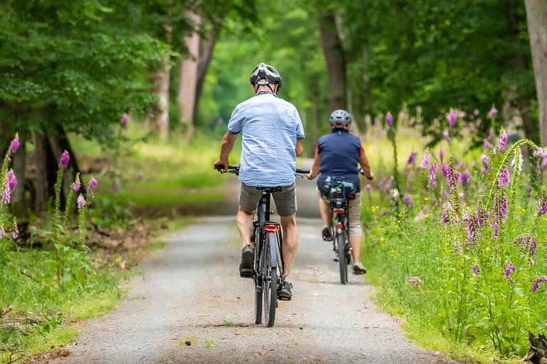 Discover the beauty of Minnesota on the Luce Line State Trail! Uncover hidden gems and scenic spots with our helpful trail guide.