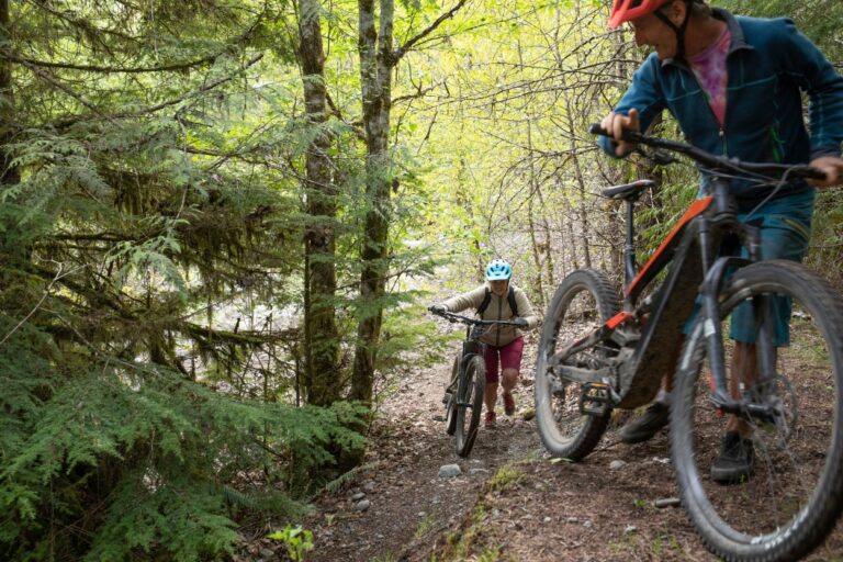 Discover the beauty of Minnesota on the Root River Trail! Uncover hidden gems and scenic spots with our helpful trail guide.