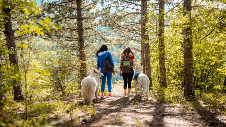Women with dogs on a hike in Minnesota