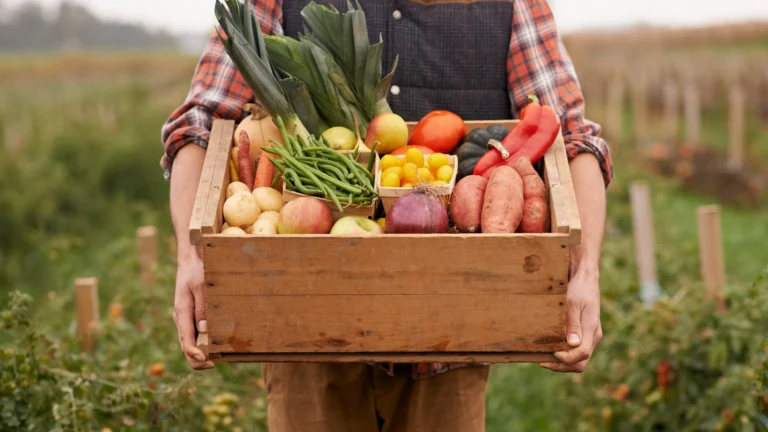 Farmer holding Midwest produce. Discover why Midwest produce tastes better, from the importance of local farming to the benefits of freshness and community connections.