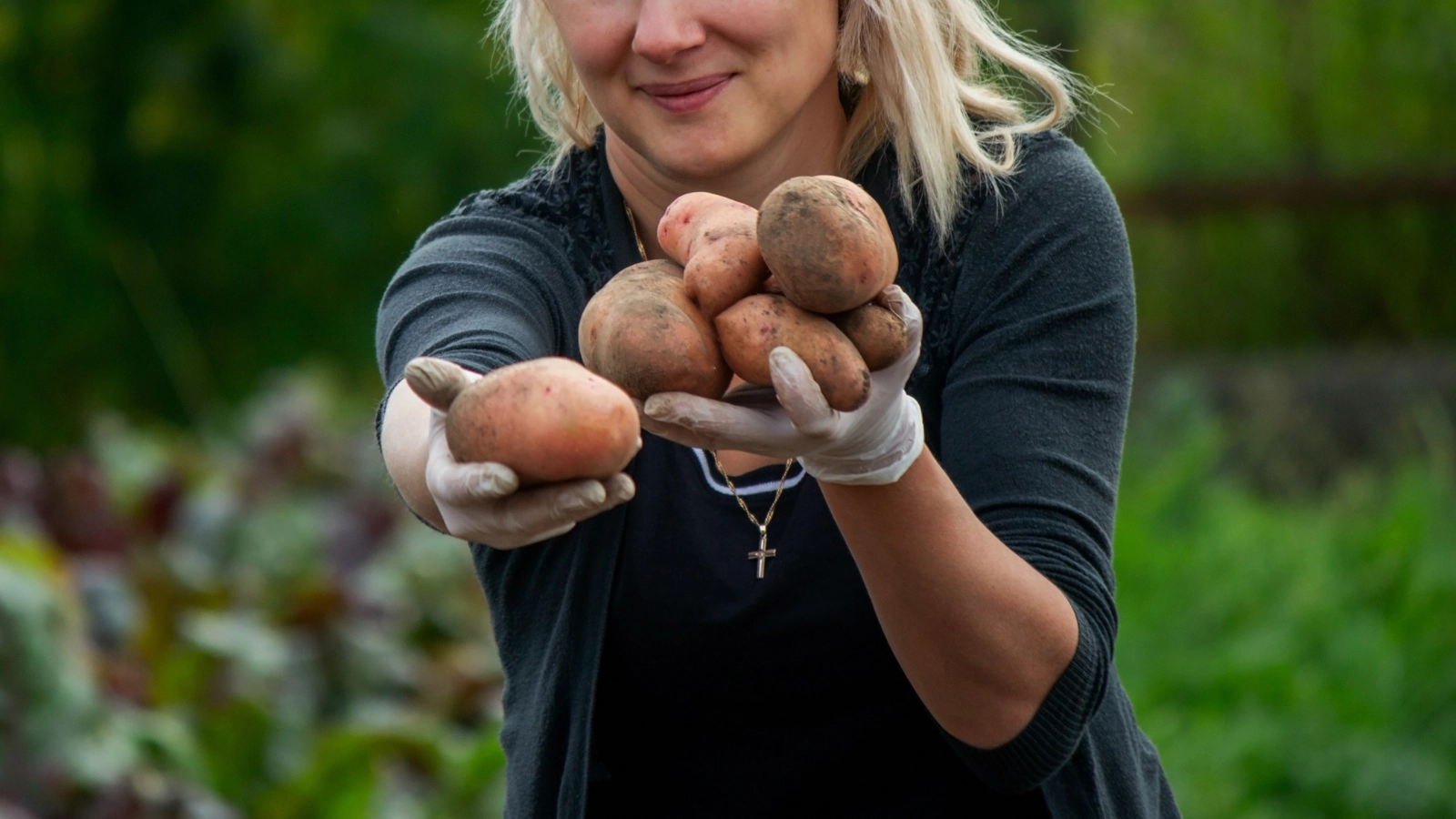 A simple yet brilliant technique can transform your Minnesota garden into a potato-producing powerhouse, no matter the season.